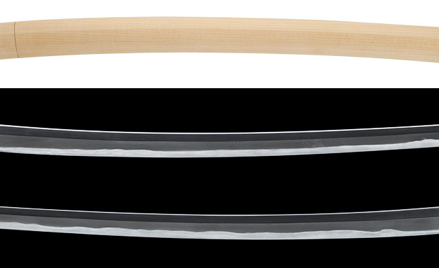 Katana [Sasshu-ju Taira Masayoshi(Houki-no-kami Masayuki)][N.B.T.H.K] Tokubetsu Hozon Token